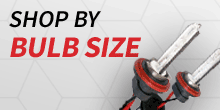 Shop by Bulb Size